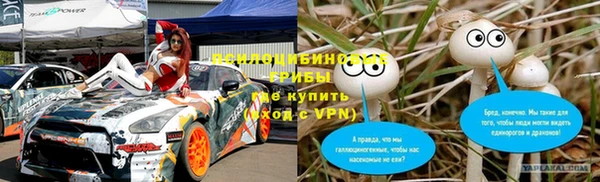 ПСИЛОЦИБИНОВЫЕ ГРИБЫ Балахна